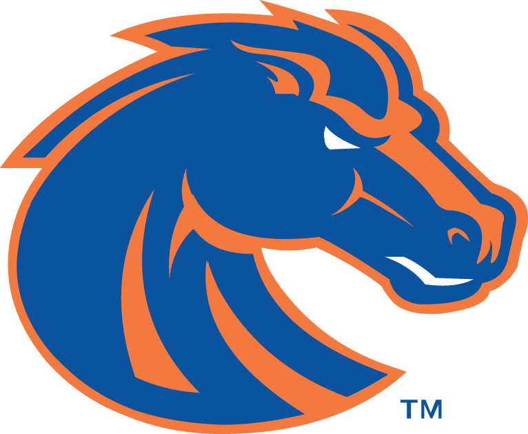 Boise State Broncos 2002-2012 Secondary Logo v2 diy iron on heat transfer